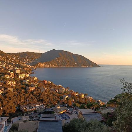A Dream Codice Citra 010047-Lt-0161 Recco Exterior photo