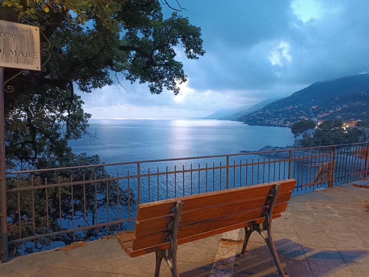 A Dream Codice Citra 010047-Lt-0161 Recco Exterior photo