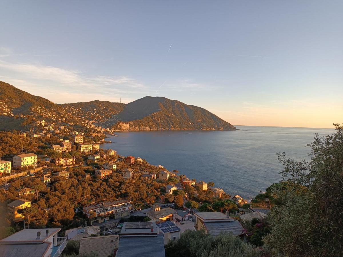 A Dream Codice Citra 010047-Lt-0161 Recco Exterior photo